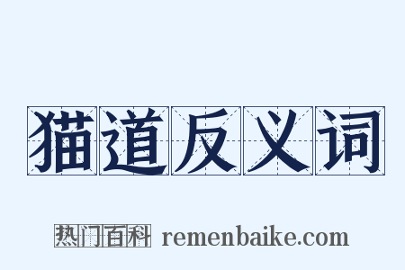 猫道反义词是什么意思的图片